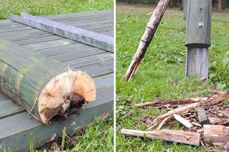 Ve zřícené rozhledně je ztrouchnivělé dřevo. Napohled byla v pořádku, říká provozovatel - Novinky